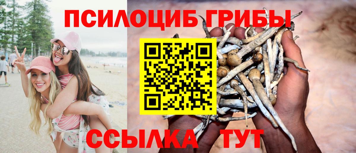 Галлюциногенные грибы Cubensis Богородск