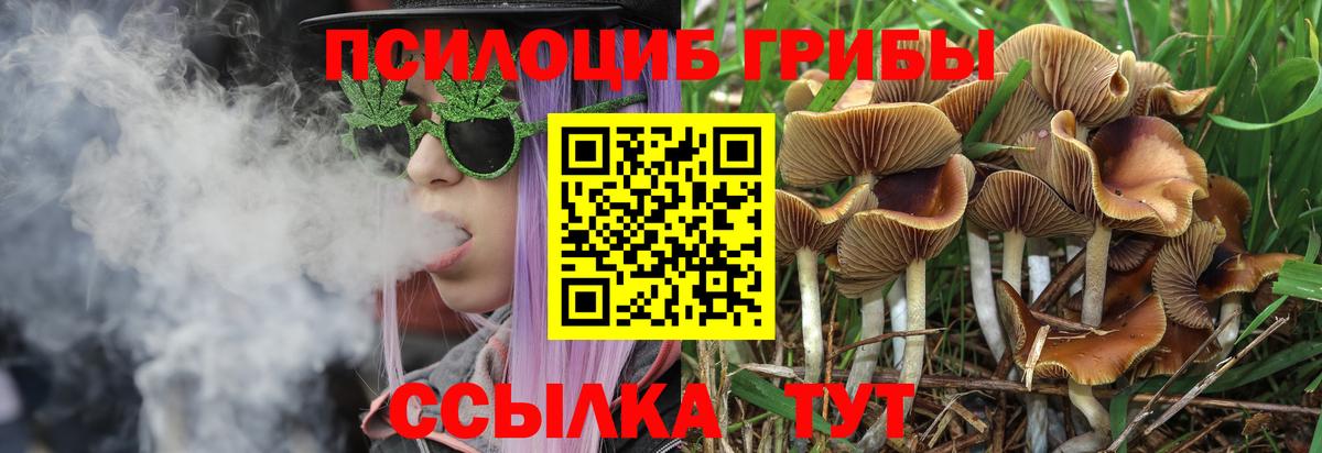 Галлюциногенные грибы мухоморы  где купить наркотик  Богородск  Галлюциногенные грибы ЛСД  Вход с VPN 